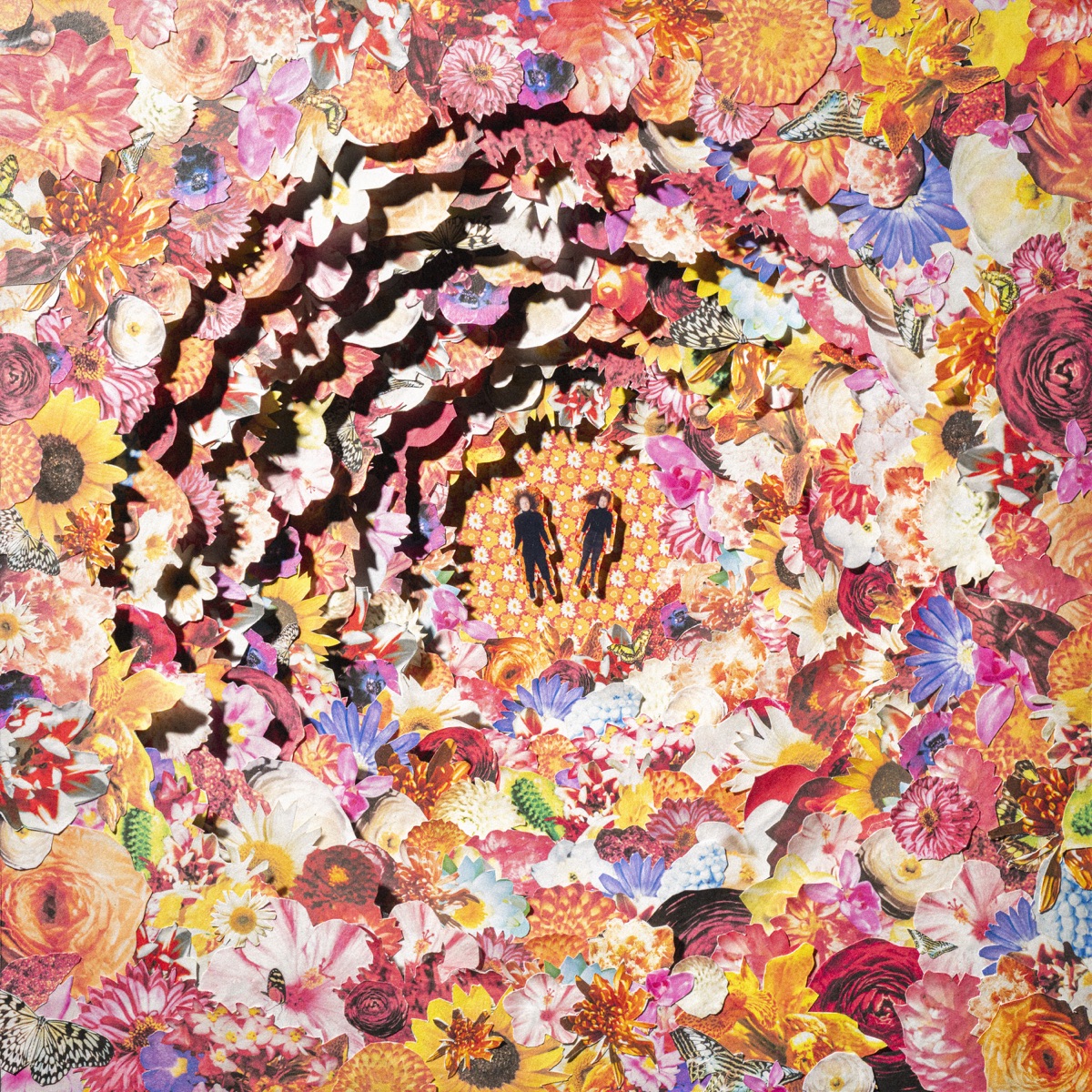 Bimbo — The Bimbonacci Sequence cover art
