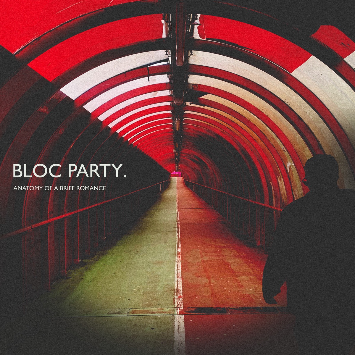 Bloc Party — Anatomy Of A Brief Romance cover art