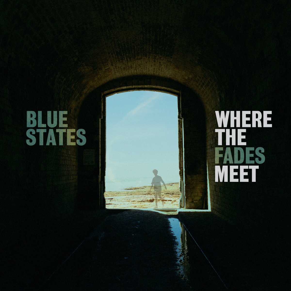 Blue States — Where the Fades Meet cover art