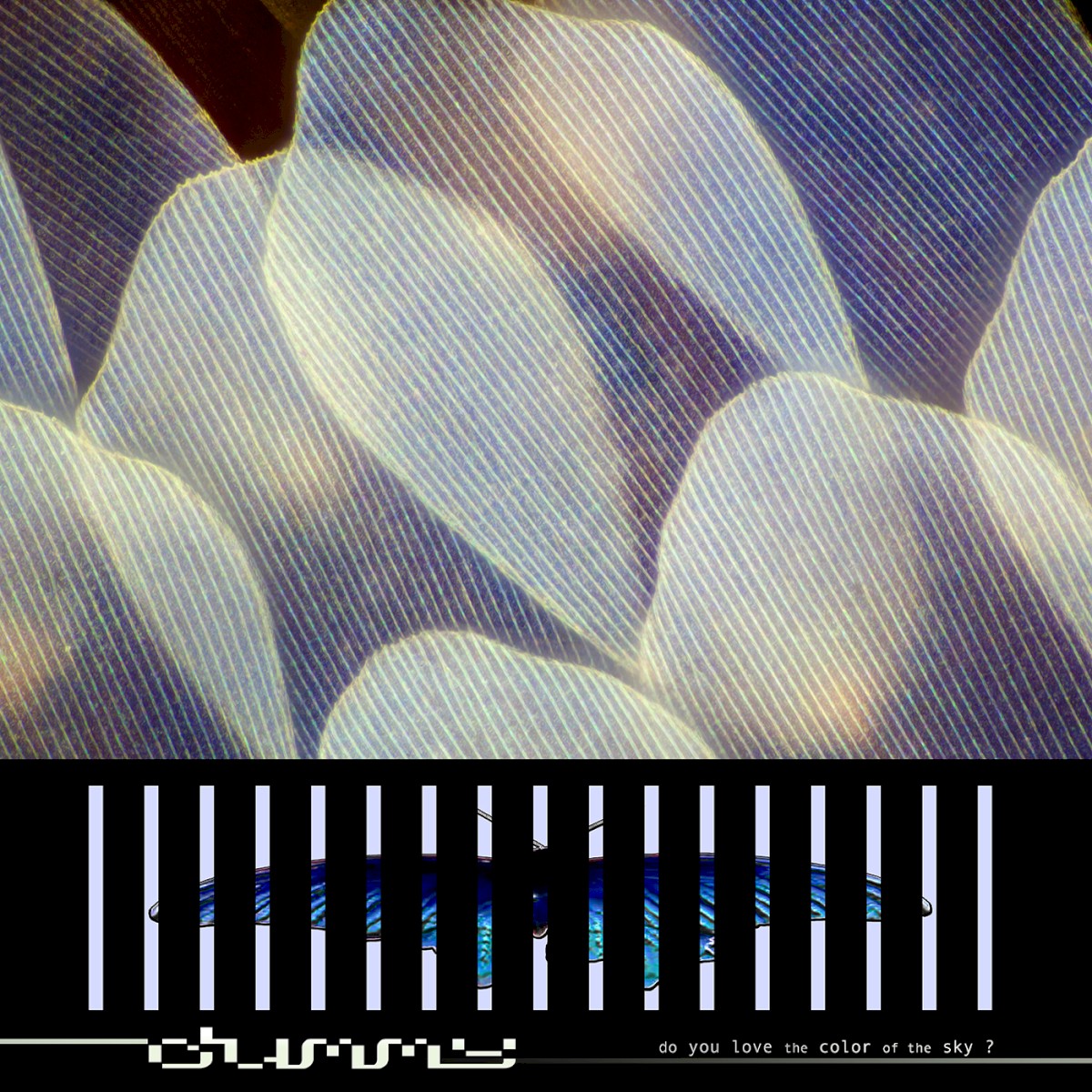 Dummy — do you love the color of the sky? cover art