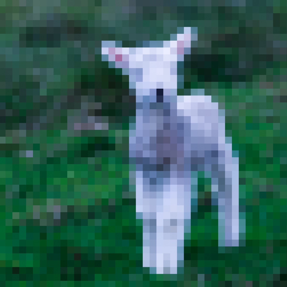 Julia Wolf — Lamb cover art