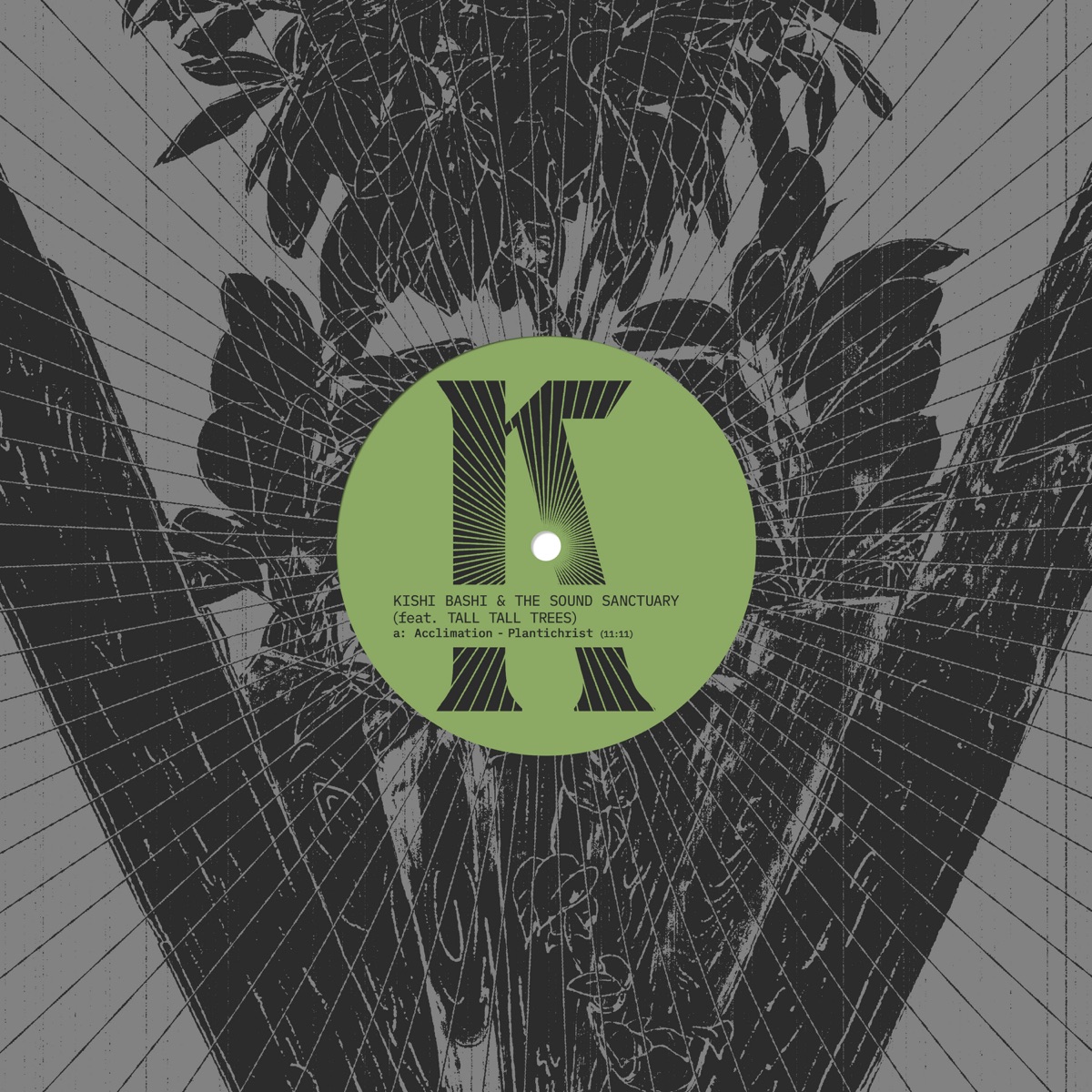Kishi Bashi — Kishi Bashi / Tall Tall Trees & The Sound Sanctuary cover art
