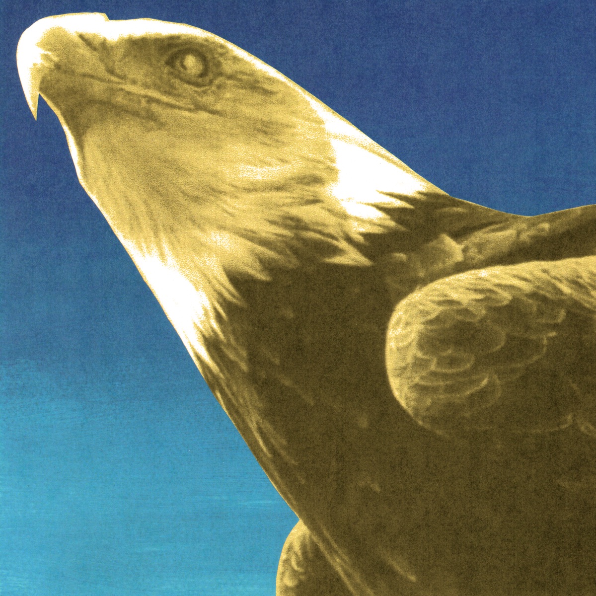 Protomartyr — Hotel Usona cover art