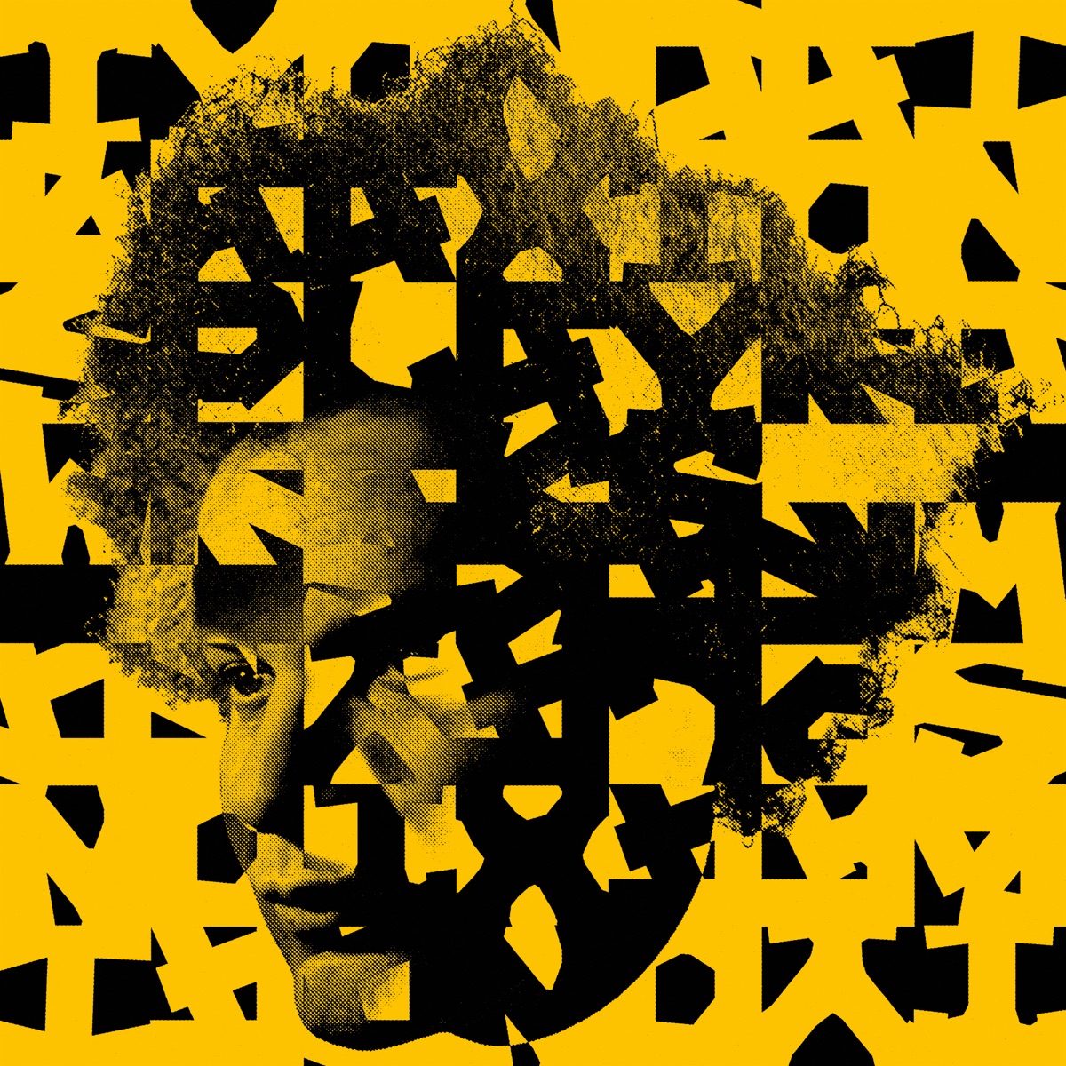 Tyondai Braxton — Splayed Werks cover art