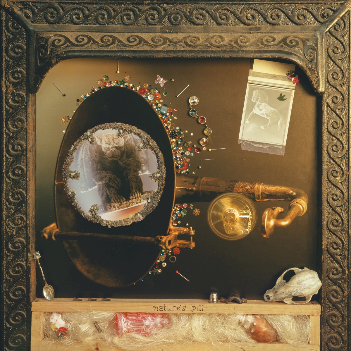 Wishy — Nature's Pill cover art