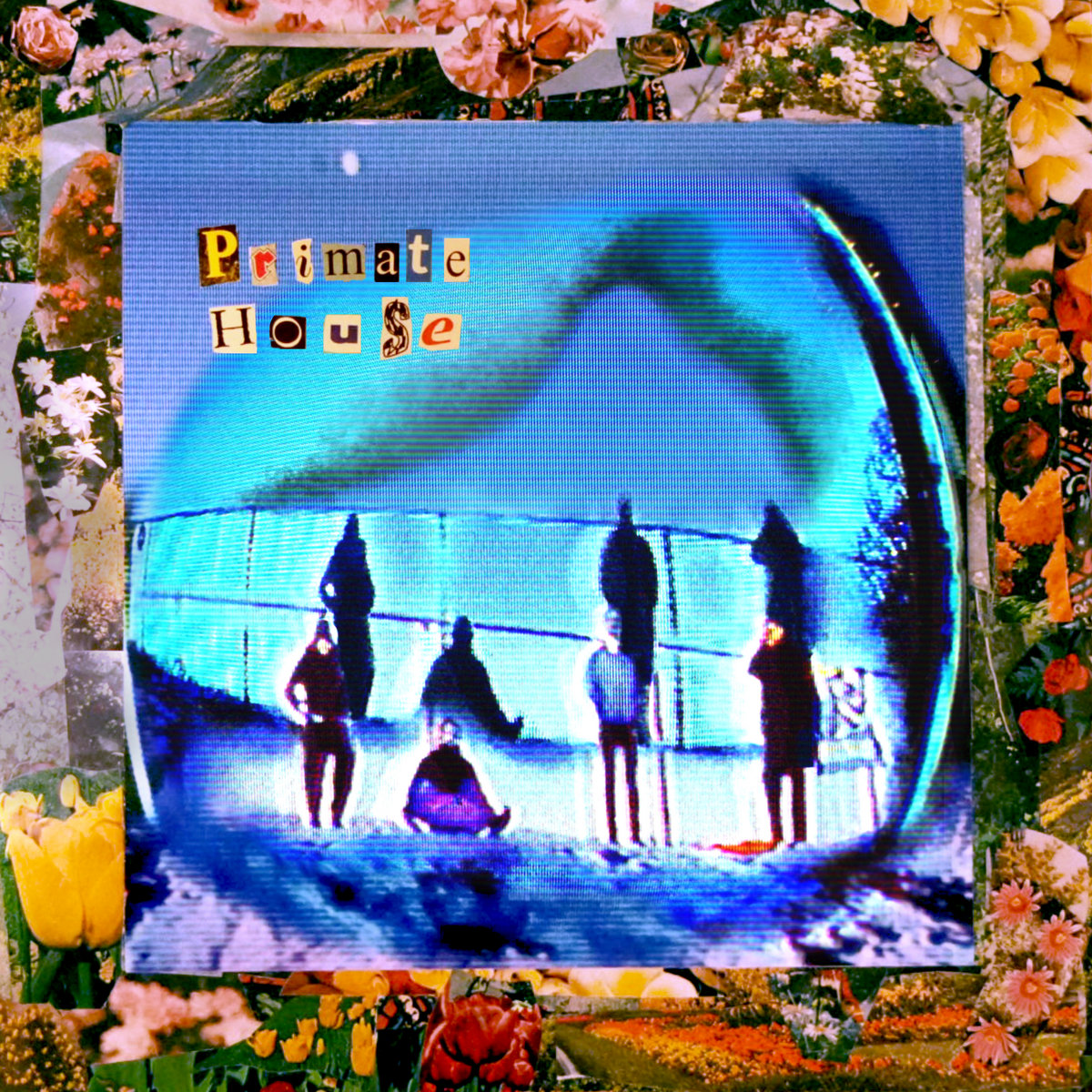 Primate House — Primate House cover art